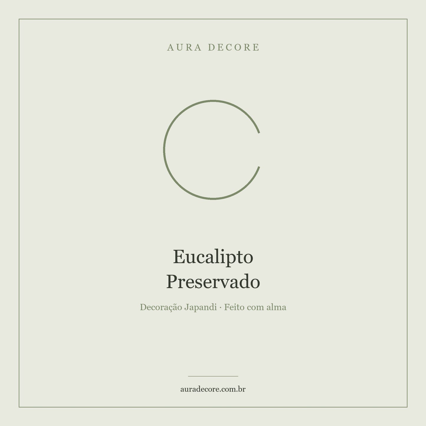 Eucalipto Preservado Buquê Seco Natural — Cheiro de Montanha | Aura Decore