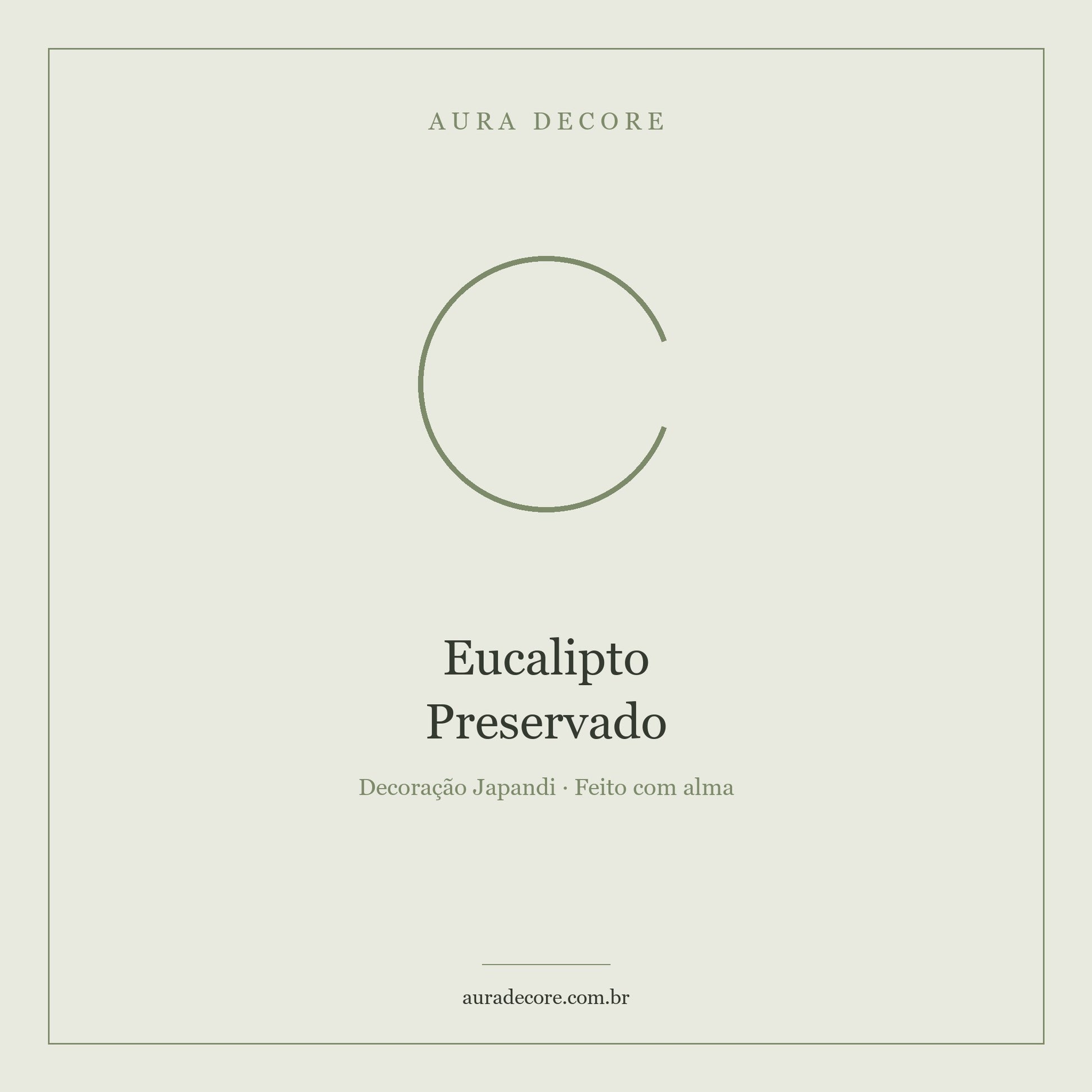 Eucalipto Preservado Buquê Seco Natural — Cheiro de Montanha | Aura Decore