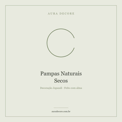 Pampas Naturais Secos Buquê — Botânica Decorativa Japandi | Aura Decore