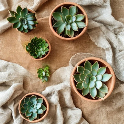 Conjunto 4 Potes Terracota para Plantas — Wabi-Sabi Jardim | Aura Decore
